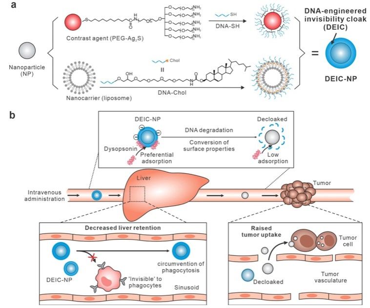 20240902-1-1.jpg 20240902-1-1.jpg